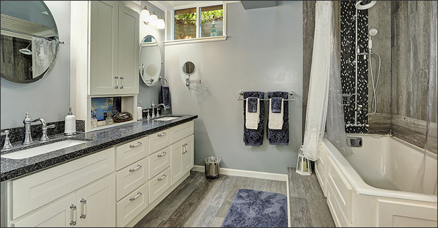 Basement Bathroom