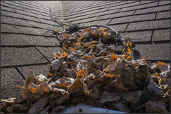 Debris in roof valley