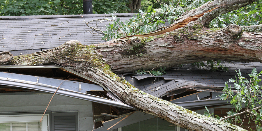 Emergency Roof Repairs: What You Should Know