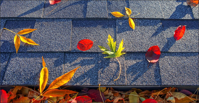 12 Fall Exterior Home Maintenance Tips