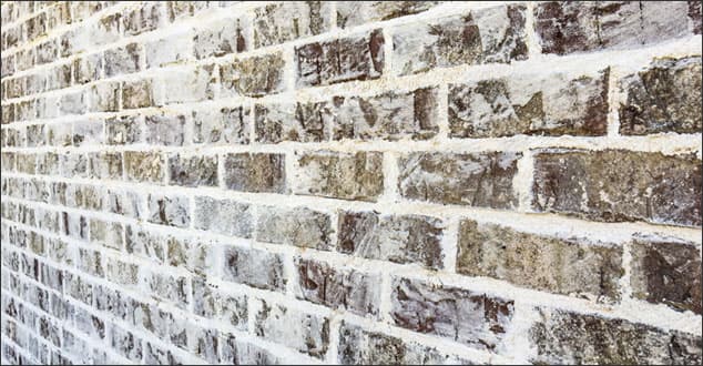 Closeup of German smear on brick