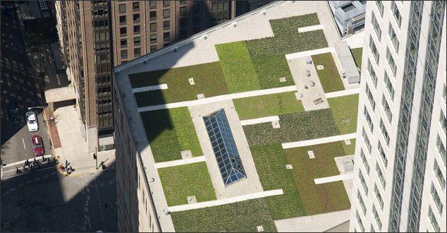 Green roofing in Chicago, Illinois
