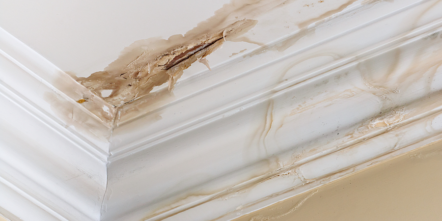Five Reasons Your Roof Might Be Leaking
