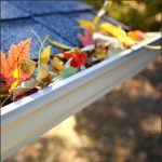 Leaves in gutters