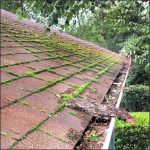 moss-roof