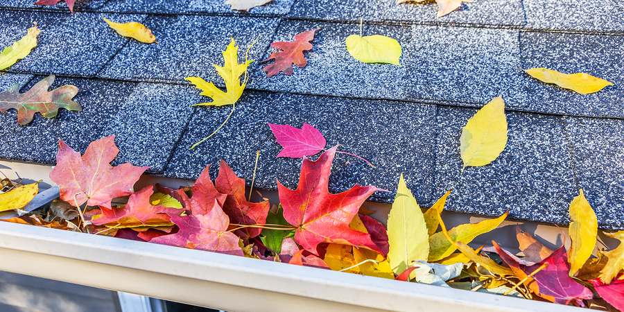 3 Reasons You Should Have a Regular Professional Roof Inspection