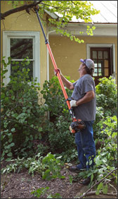 Trim tree branches away from roof