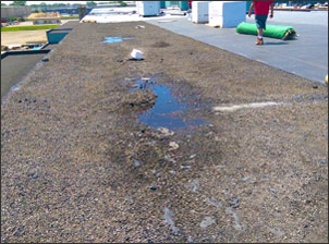 Water pooling on flat roof